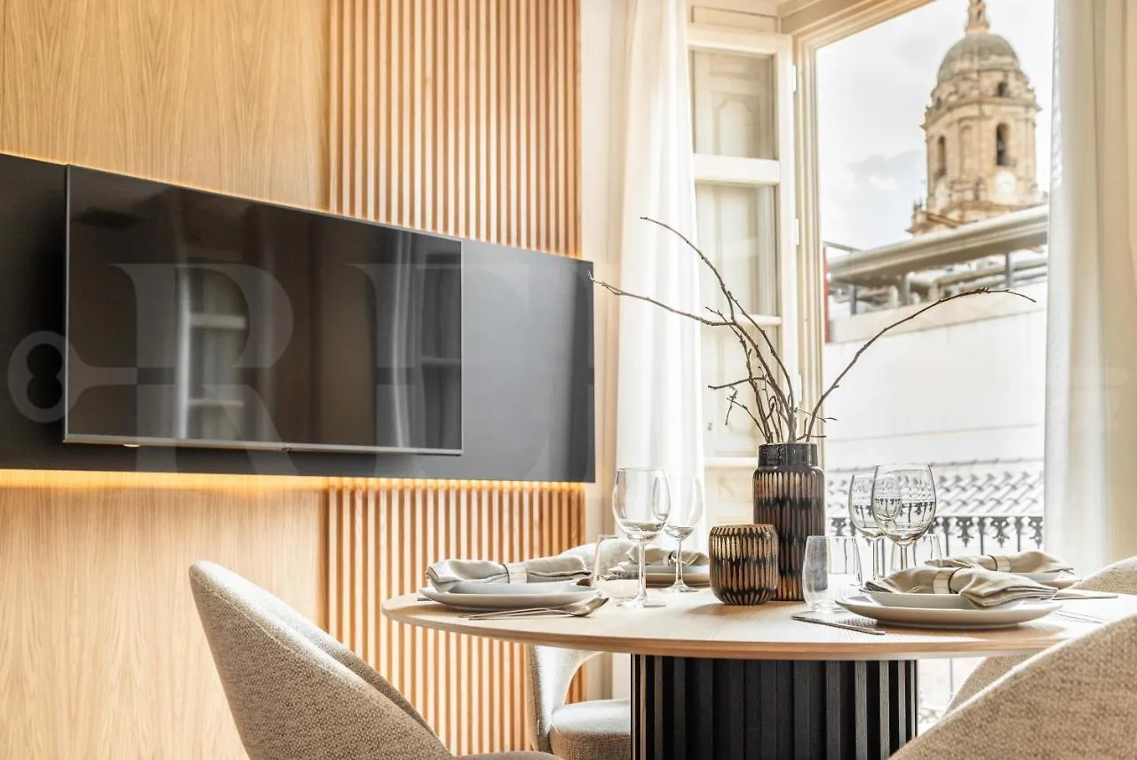 Luxe Apartment In The Historic Center By Rems 말라가